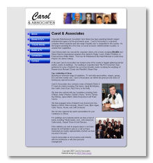 Agency website design