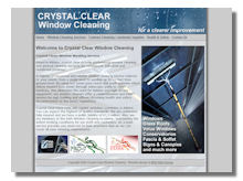 Window cleaning website design