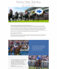 New Website Launch for Equine Halo Salt Therapy